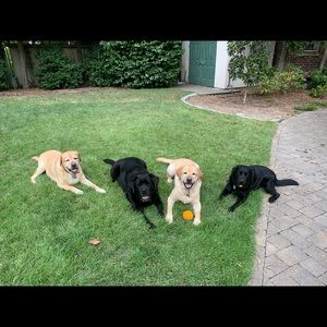 Meet your Posher, Elizabeth